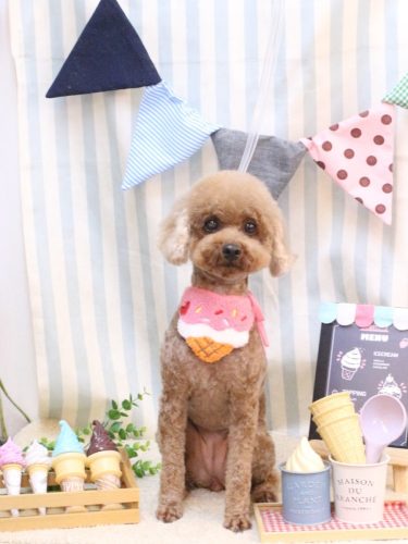 20250521イチゴちゃん